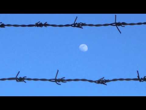 Mungo's Hi-Fi Feat. Daddy Freddy - Can't stop we again (HQ)