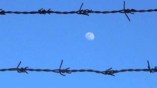 Mungo's Hi-Fi Feat. Daddy Freddy - Can't stop we again (HQ)