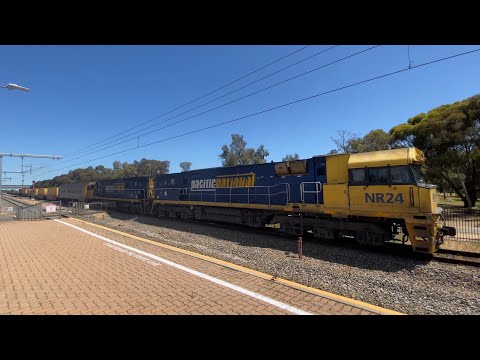 NR24 & NR44 leads 7MP5 through Greenfields *Horn Show*