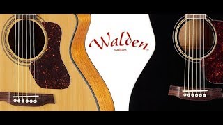 Video thumbnail for Teste/REVIEW Violão Walden D560ce by Felipe Guerra Violão