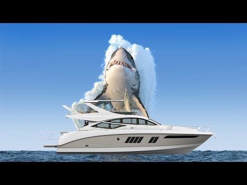 Giant Great White Takes It ALL | Shark Attack Video Series