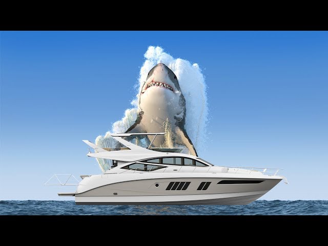 Giant Great White Takes It ALL | Shark Attack Video Series