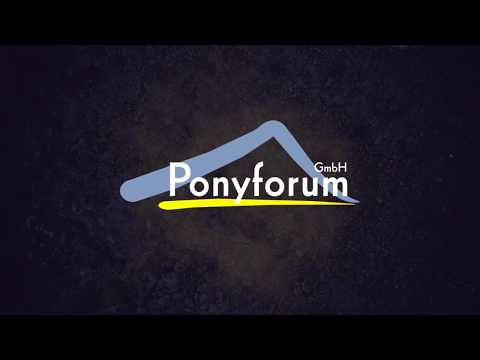 4j. Palominostute v. Double-O-Seven – Hemingway B