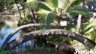 ABBA - Happy Hawaii.mpg.AVI