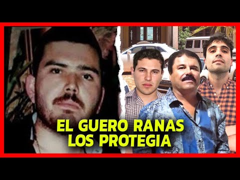 The Relentless Protector: Güero Ranas, the Loyal Boss of Los Chapitos