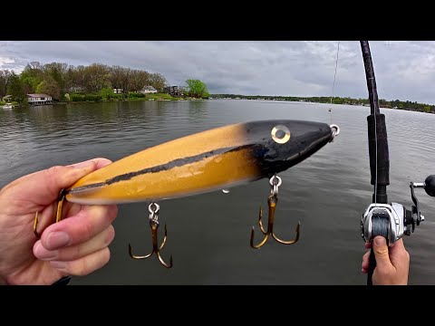 MUSKIE MAYHEM auf Glide Baits!!! NONSTOP-Action!