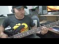 Bass cover