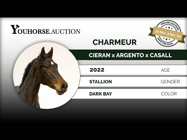 Charmeur