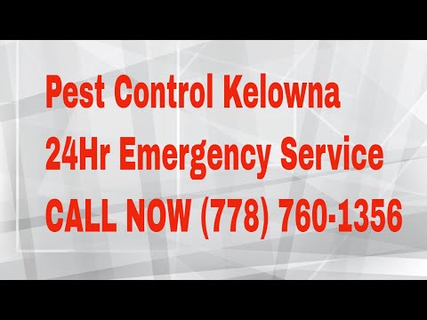 download lagu mp3 mp4 Pest Control Kelowna, download lagu Pest Control Kelowna gratis, unduh video klip Pest Control Kelowna