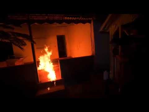 O QUE SERÁ QUE O RENATO LIBERTOU NA CASA DA BONECA?