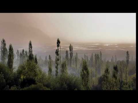 The Nubra valley, one of the most beauti