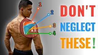 The Best Rotator Cuff Strengthening Routine (BULLETPROOF YOUR SHOULDERS)