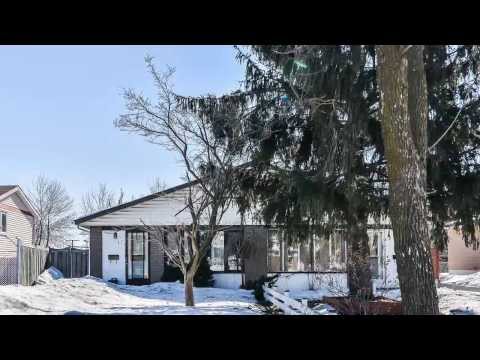 11 Archdekin Drive Brampton Doug Harron