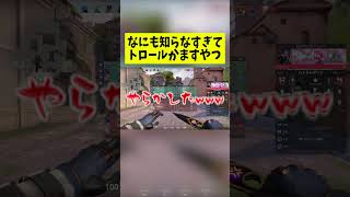 【VALORANT】なにも知らなすぎてトロールかますやつ【ヴァロラント】 #valorant#valorantclips #ヴァロラント #camel #shots #ゲーム実況