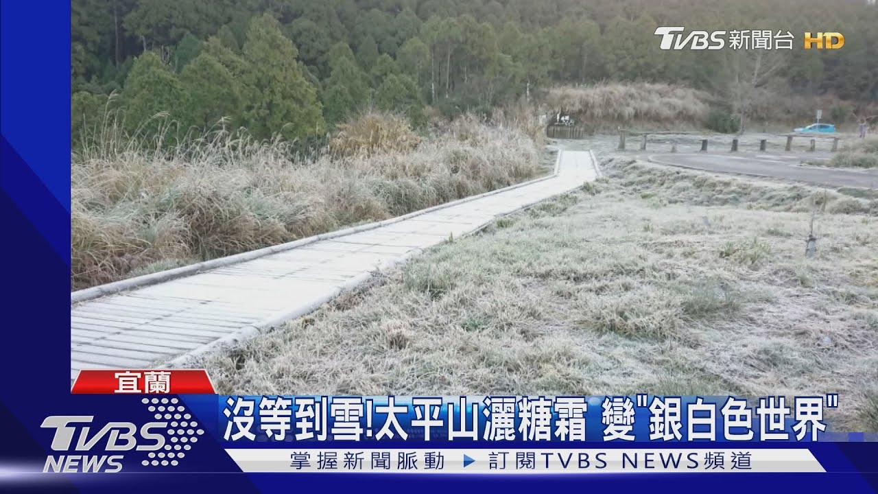 沒等到雪!太平山撒糖霜 變「銀白色世界」