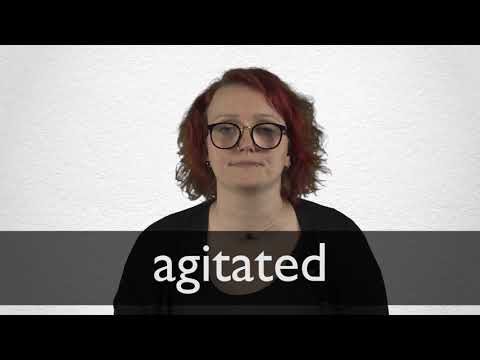 agitated archivist definition dictionary english