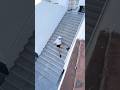 Best Fails Of 2024