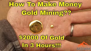 Complete Gold Mining Plant: Making Money Gold Mining & Gold Prospecting