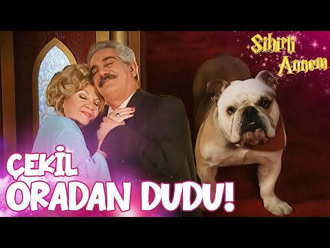 Taci, Umur'u Isırdı! |  Sihirli Annem