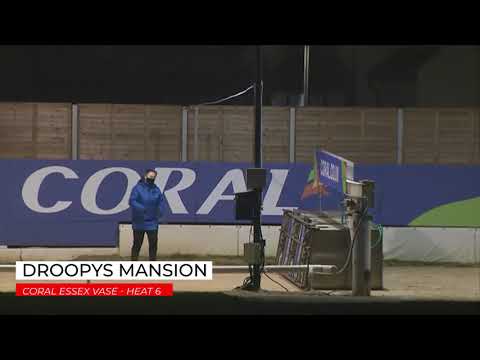 Droopys Mansion - Coral Essex Vase Round 1 Heat 6