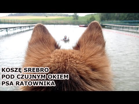 Mam pozwolenie na prywatną plażę !!! Odc.122