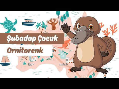 download lagu mp3 mp4 Ornitorenk, download mp3 Ornitorenk free download, download mp3 Ornitorenk