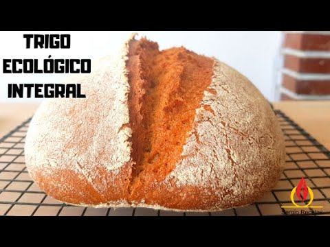 HOGAZA DE PAN DE TRIGO INTEGRAL ECOLÓGICO/Escuela de panadería. #stayhome #withme