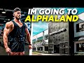 ALPHALAND | 7 WEEKS OUT SHOULDER DESTRUCTION