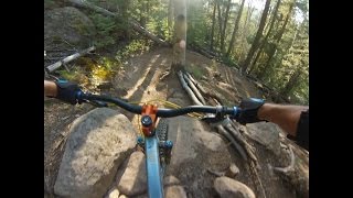 The "Hobbit Forest" section of Sunset Trail.