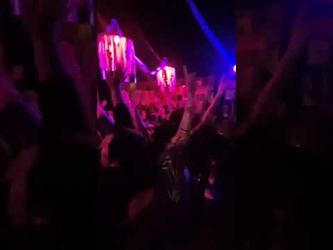 La Cola 🎶 | Cumpleaños en Las Flores | Palosanto Cumbia
