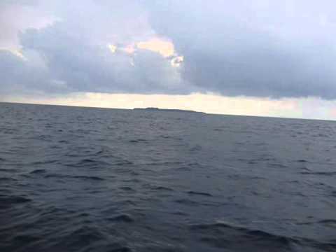 Super blondie_Papua New Guinea (tolai)