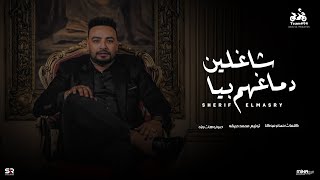 شاغلين دماغهم بيا - شريف المصري
