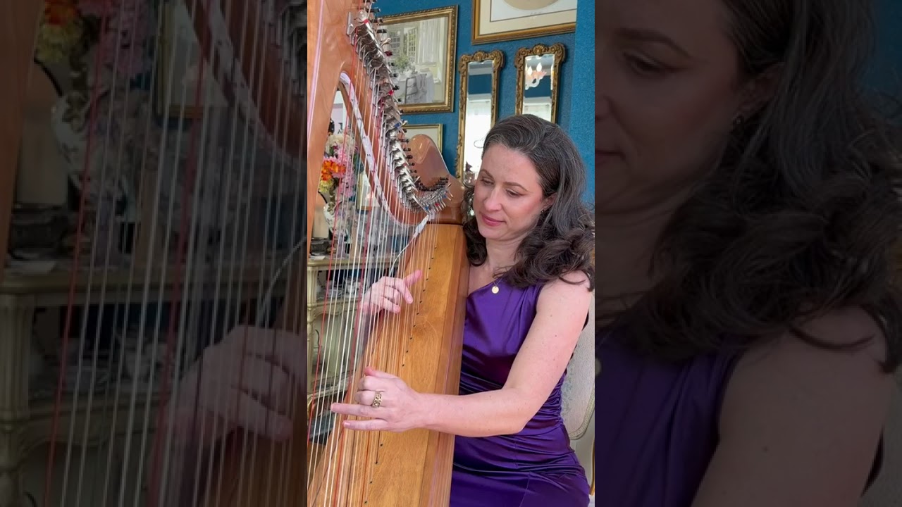Promotional video thumbnail 3 for AureliHarp