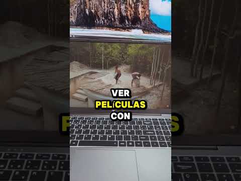 Estos 16 dispositivos por menos de $50 han mejorado mi vida tecnológica, y la mayoría ya están en oferta por el Black Friday