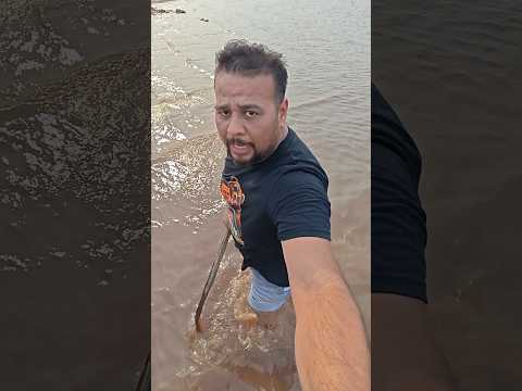 ARRASTE OS PÉS NA ÁGUA EVITE FERRADA DE ARRAIA #iranduba #manaus #rio #pontes #ríonegro #riosolimoes