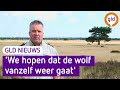 GLD Nieuws 4 augustus 2021