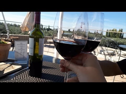 TJ UFSC 23/05/17 - Vinícola na Argentina