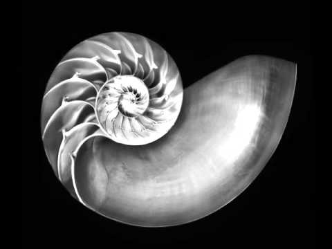 Peter Meatman - Enigma (Kay-D Remix)