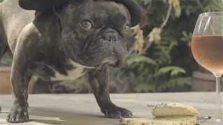 JES, Austin Leeds, &amp; Redhead Roman &quot;Happy&quot; Official Music Video