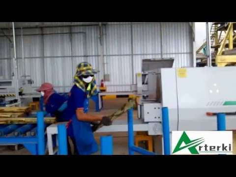 Arterki Multi rip saw machine/ Chain saw working in Thainland customer factory
