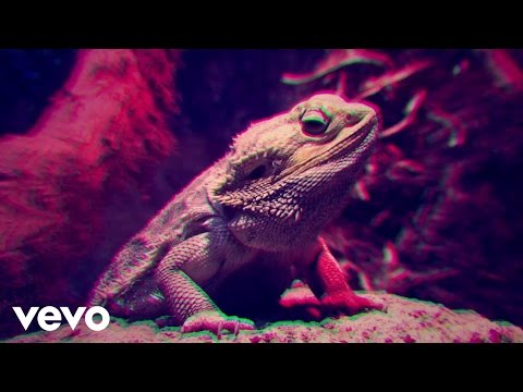 Video thumbnail for In Your Clouds