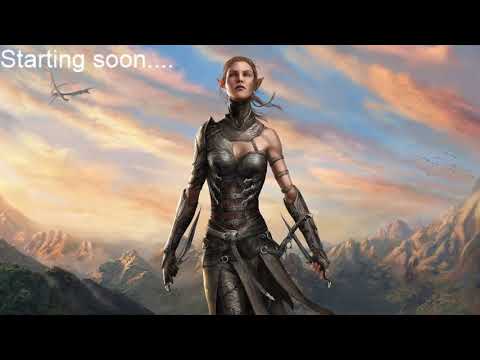 Divinity Original Sin 2 - Honour Mode - Lone Wolf - Multi - part7