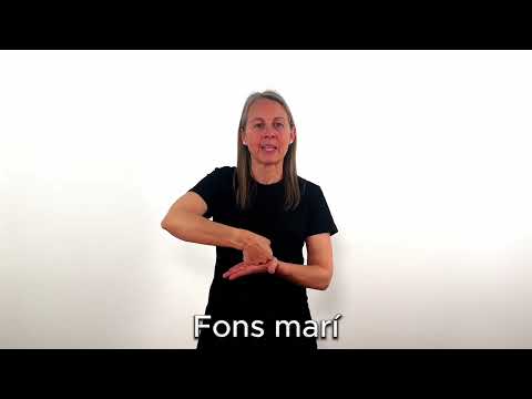 Fons marí - LSC