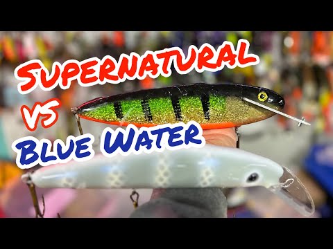 FALL MUSKY TROLLING ENDS IN DRAMATIC FASHION!  LAND A MUSKY BY HAND! Nov 10/23 vlog