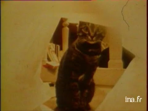 Minouche, Boisset, Curtelin et les autres