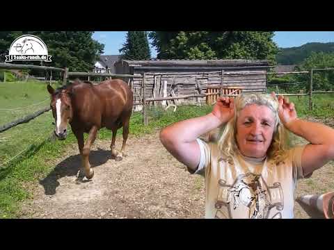 Ariane Telgen hört nicht auf zu reden: Fall Cori, wo Feedback unerwünscht ist | Urheber: Stefan Karp