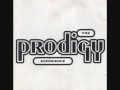 The Prodigy Out Of Space