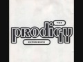 The Prodigy Out Of Space 