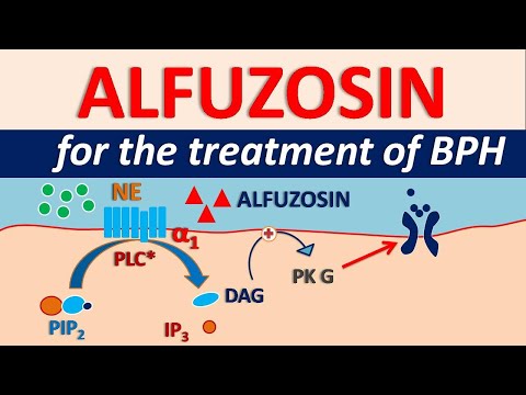 Alfuzosin hydrochloride and dutasteride tablets