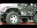 Screamin Lizard Customs Dark Zebra Project HD